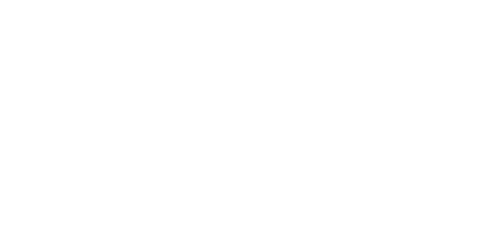 LIC logo